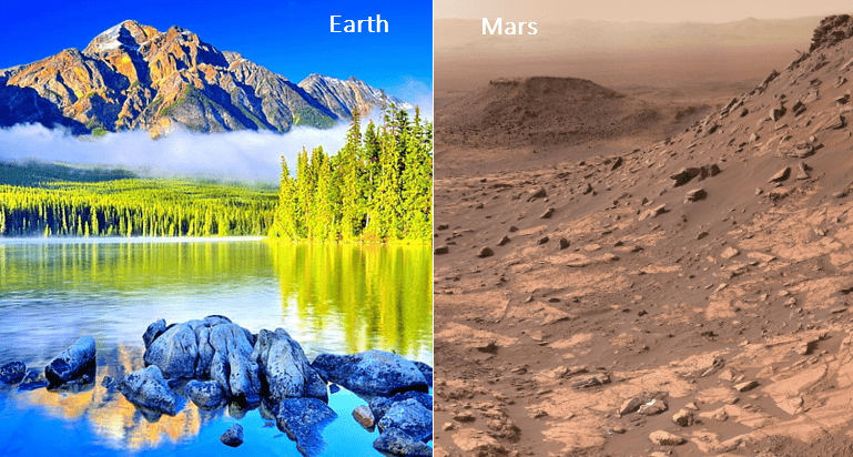 Climate Action