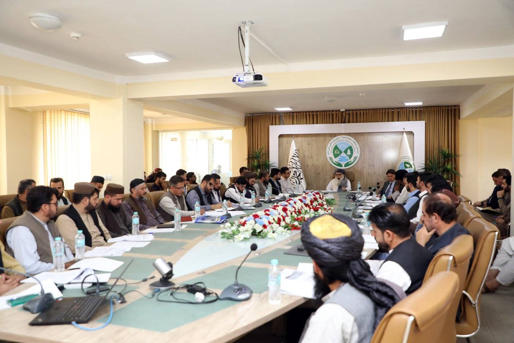 National Consultation on COP30